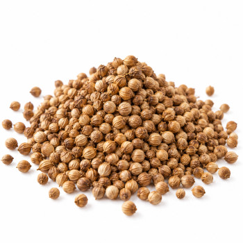 Korijander zrno